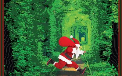 12-25-18 Green Grass Tunnels by Mum