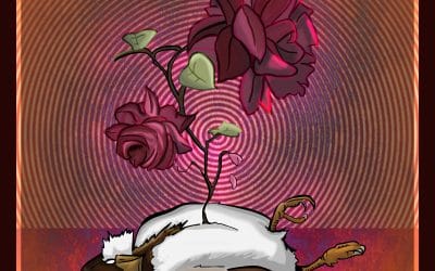 12-2-18 Maggie by Colin Hay